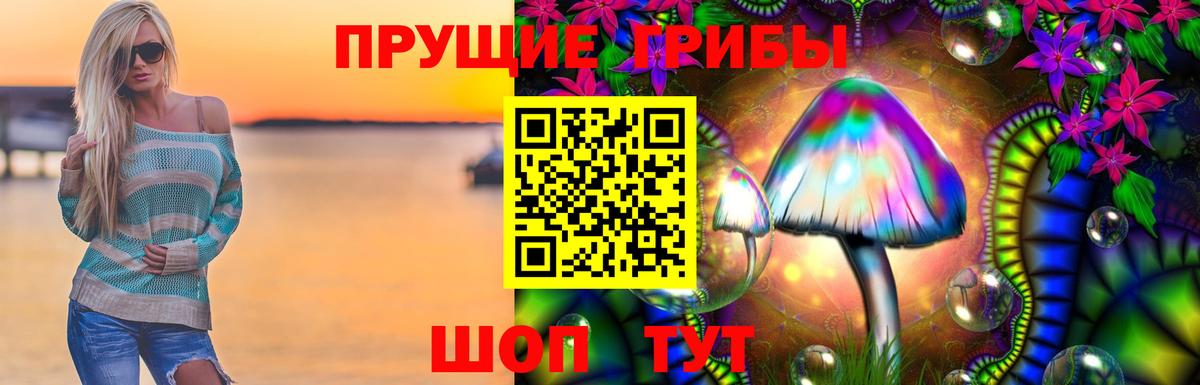 купить наркотики цена  Псилоцибиновые грибы мицелий  Вход с VPN  Междуреченск 